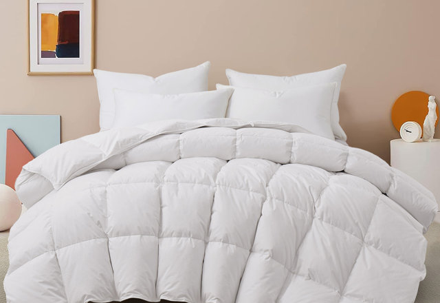 Value bedding basics from $15